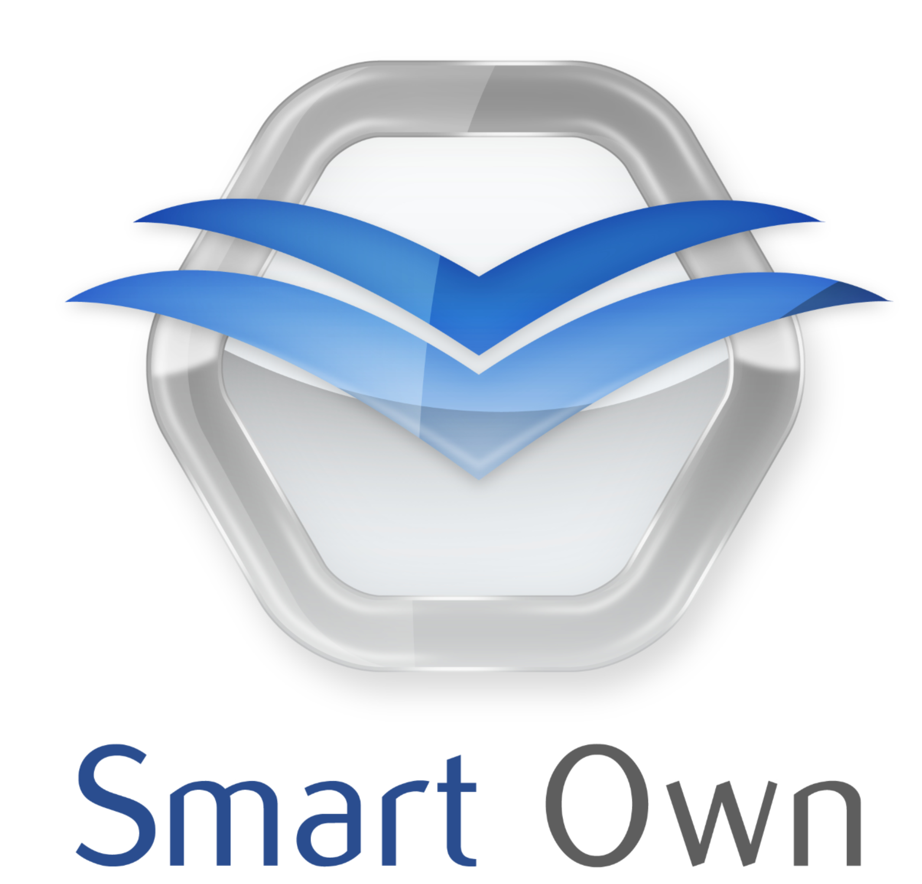 Smart Own Maldives logo