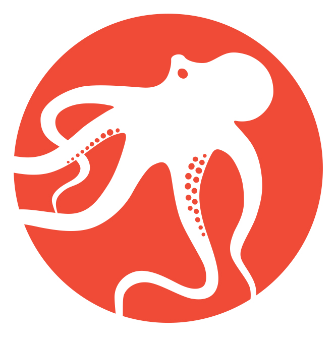 Octopus Systems Pvt Ltd logo